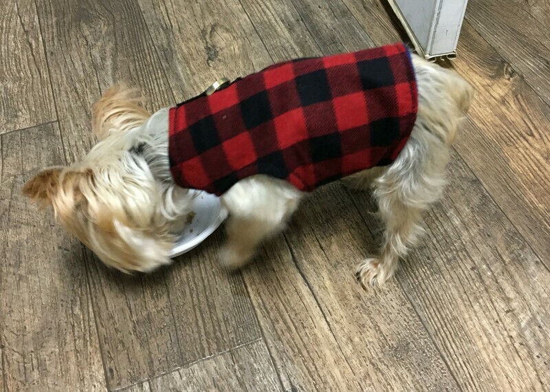 Buffalo Plaid Doggie Coat