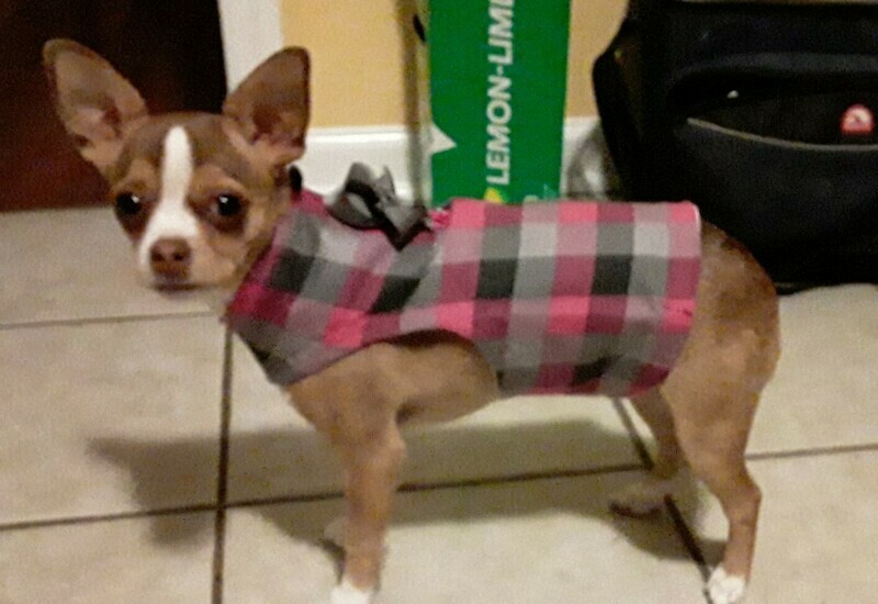 Pink Plaid Doggie Coat