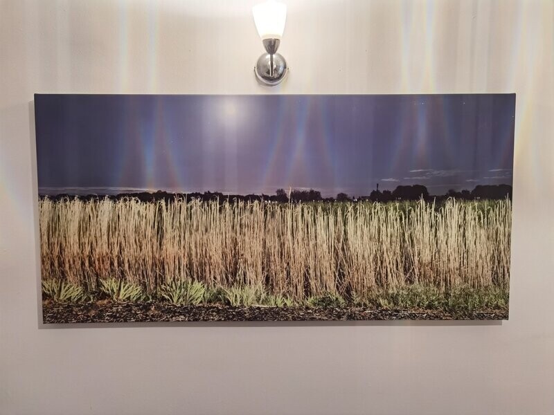 Rural Passage - Large Panoramic Canvas