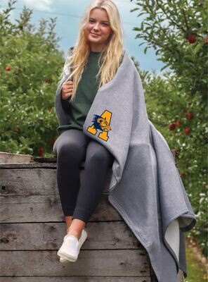 FAN GEAR
