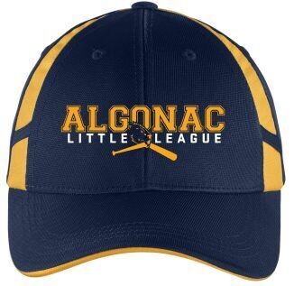 NAVY/GOLD SNAPBACK HAT