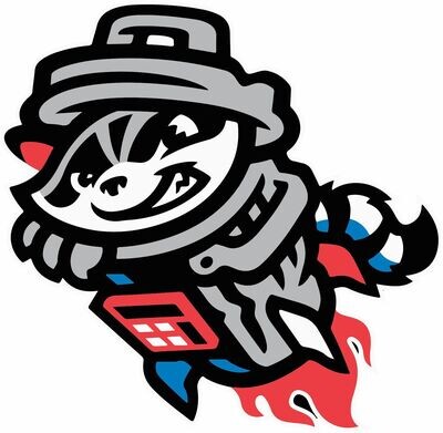 TRASH PANDAS SOFTBALL