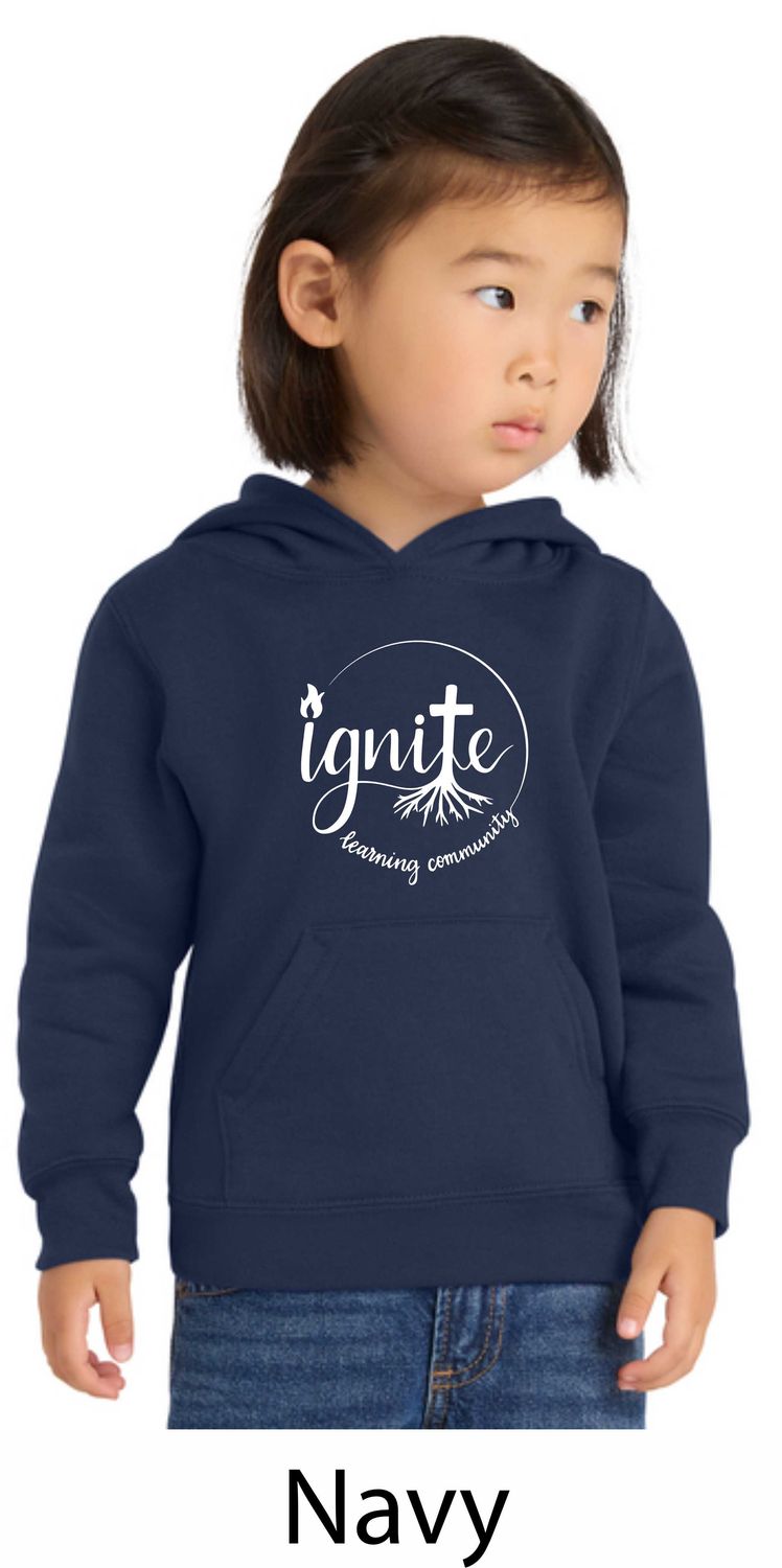 TODDLER HOODIES