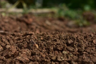 SOIL