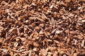 Medium Bark