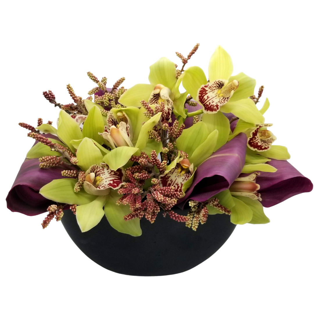 Cymbidium Orchids
