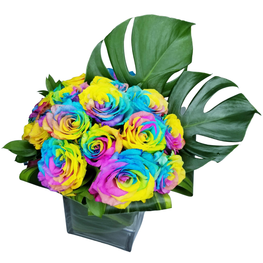 RAINBOW ROSES - Medium Height