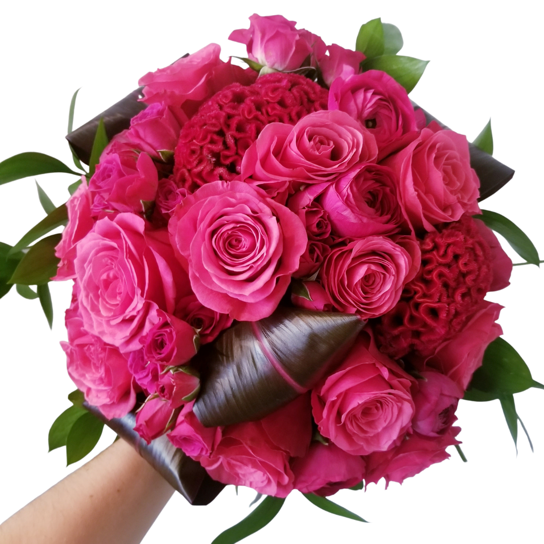 MONOCHROMATIC - RASPBERRY