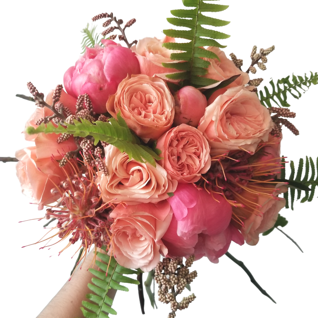 MONOCHROMATIC - CORAL