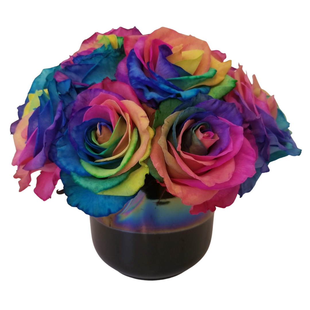 RAINBOW ROSE - COMPACT