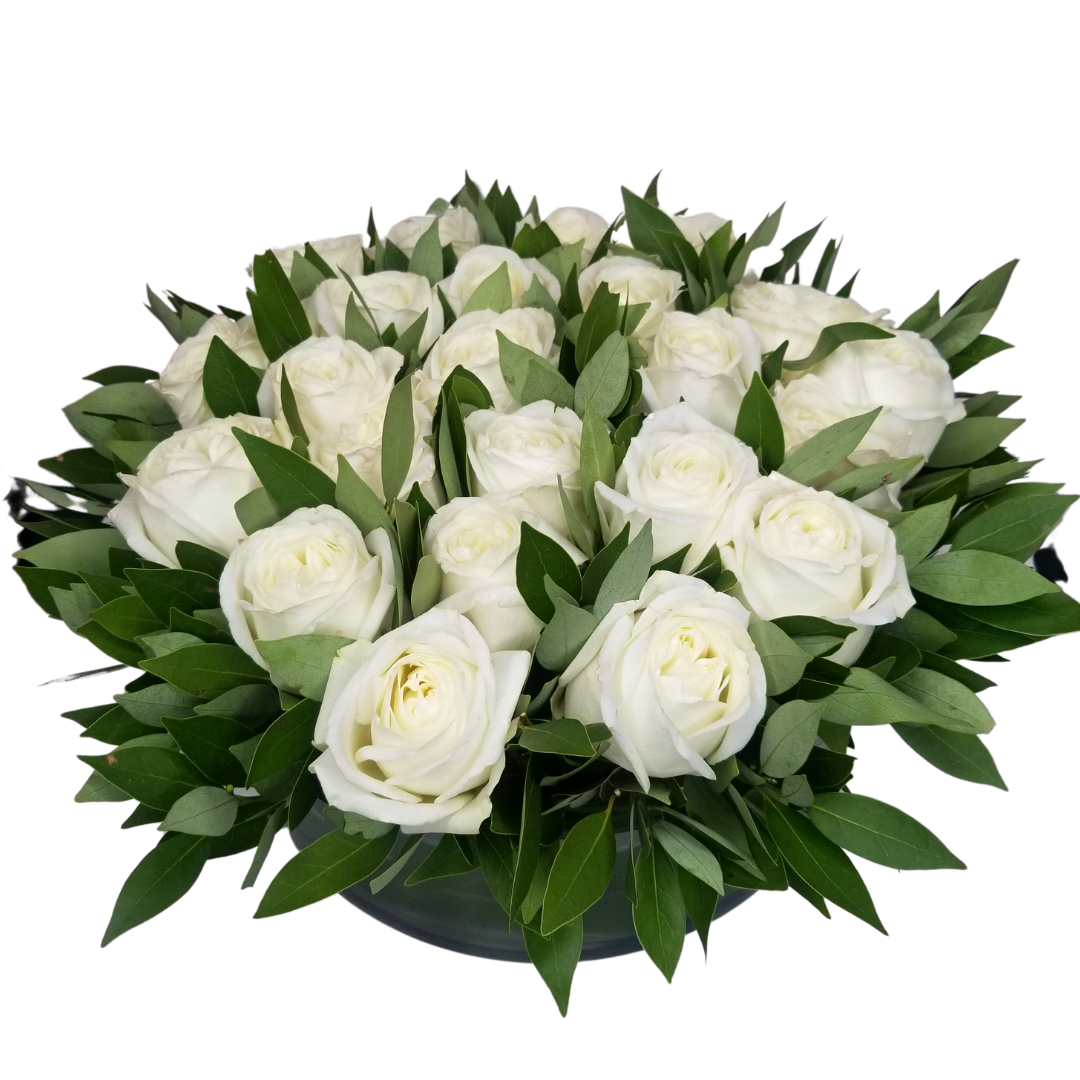 Roses - Contemporary