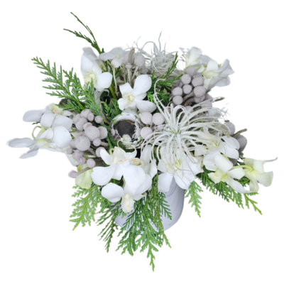 BABY, IT&#39;S COLD OUTSIDE