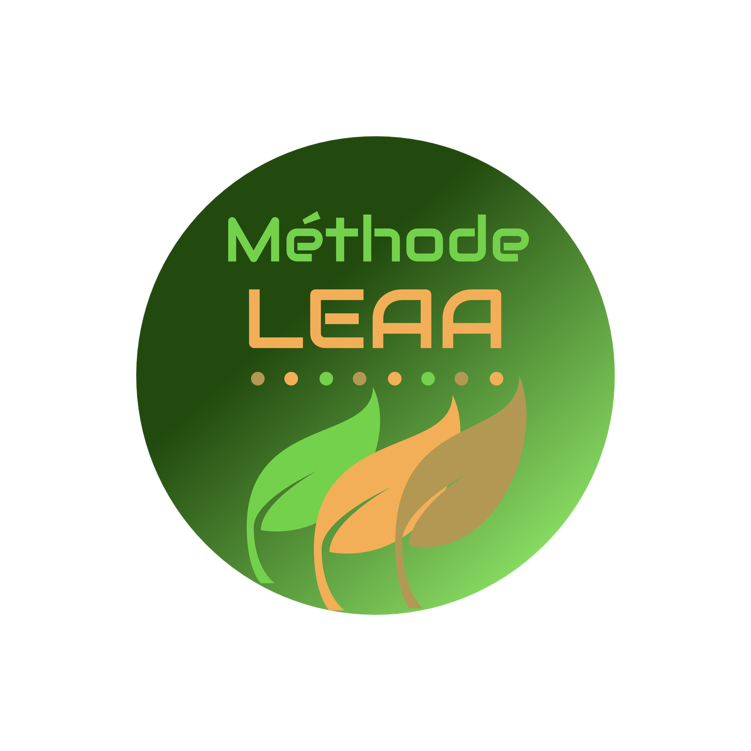 Méthode LEAA
