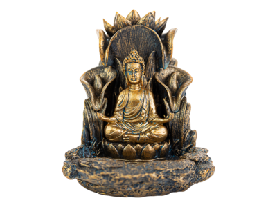 Buddha Back Flow Incense Holder