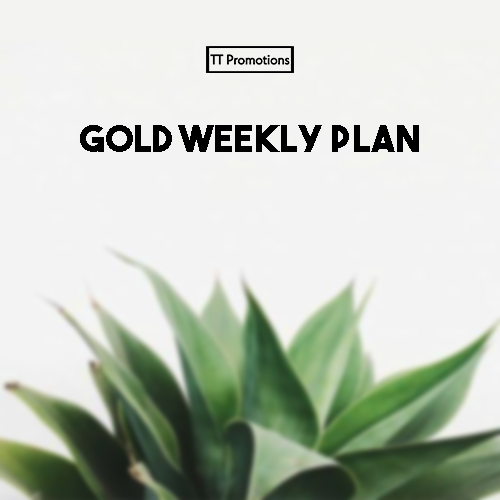 Gold Weekly Plan