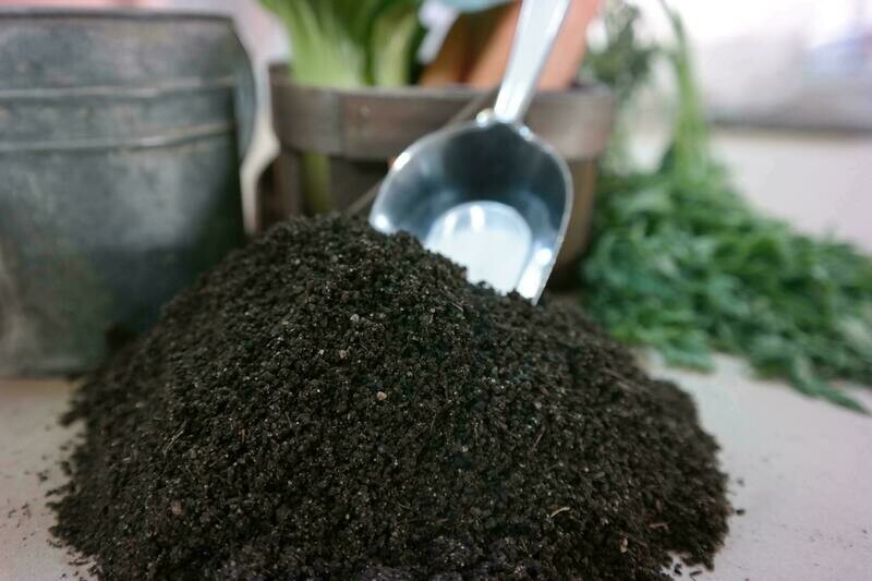 Red Wiggler Worm Castings Fine