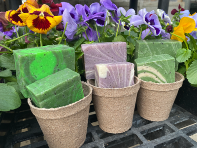 Natural Soaps