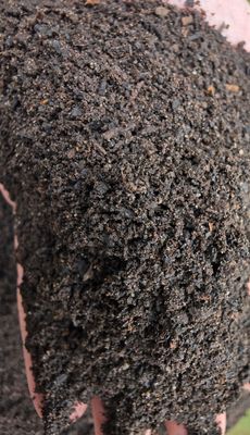 Worm Castings