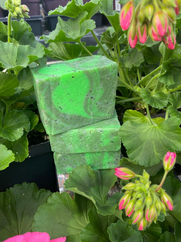 Lemongrass Worm Casting Soap