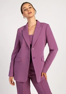 Aaiko Amilla Vis Blazer