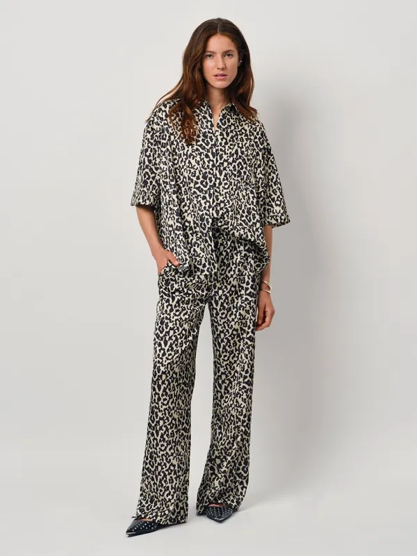 Dante 6 Teo Broek