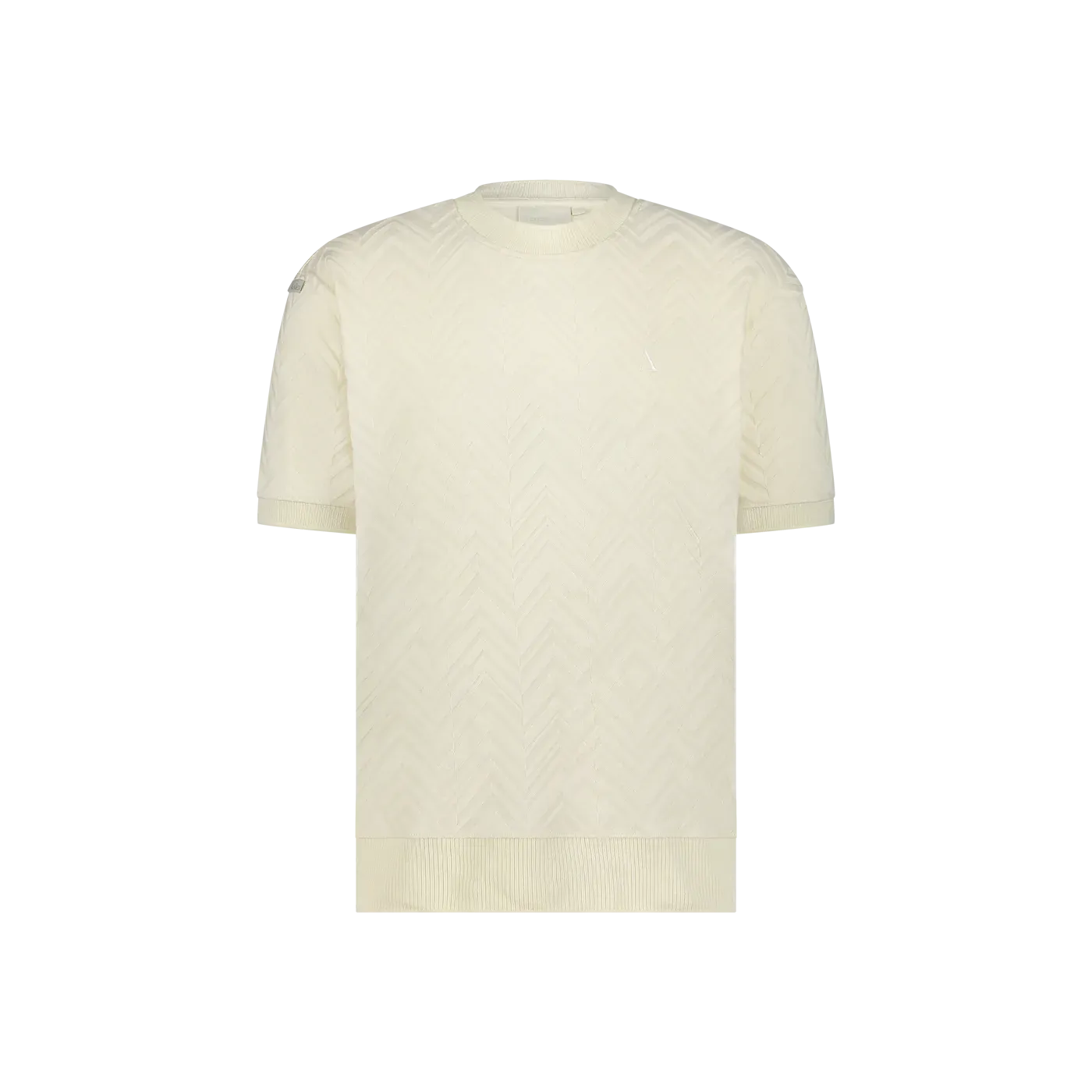 Aeden Silver T-Shirt