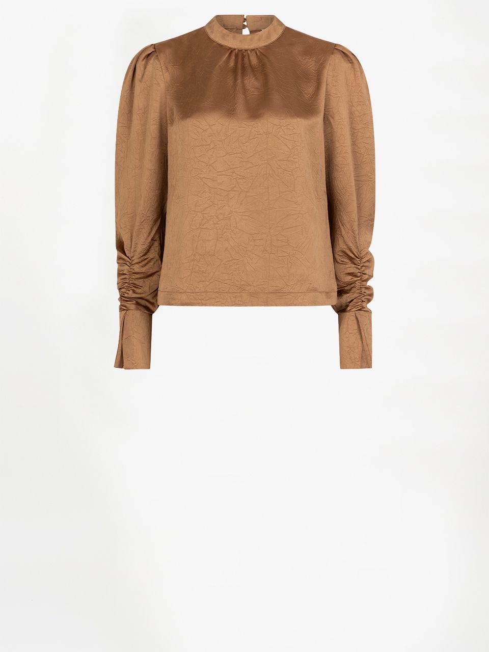 Dante 6 Pristine Turtle Top