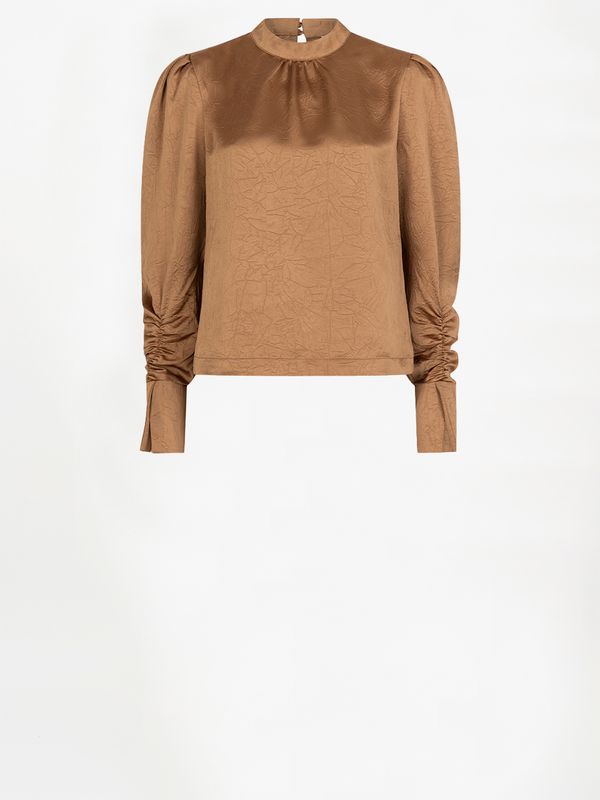 Dante 6 Pristine Turtle Top