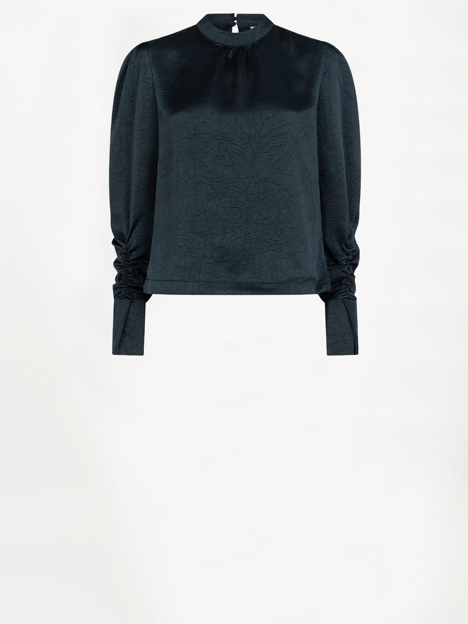 Dante 6 Pristine Turtle Top