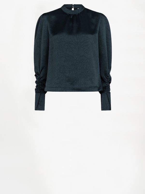 Dante 6 Pristine Turtle Top