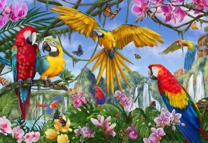 Tropical Birds 100 Pc