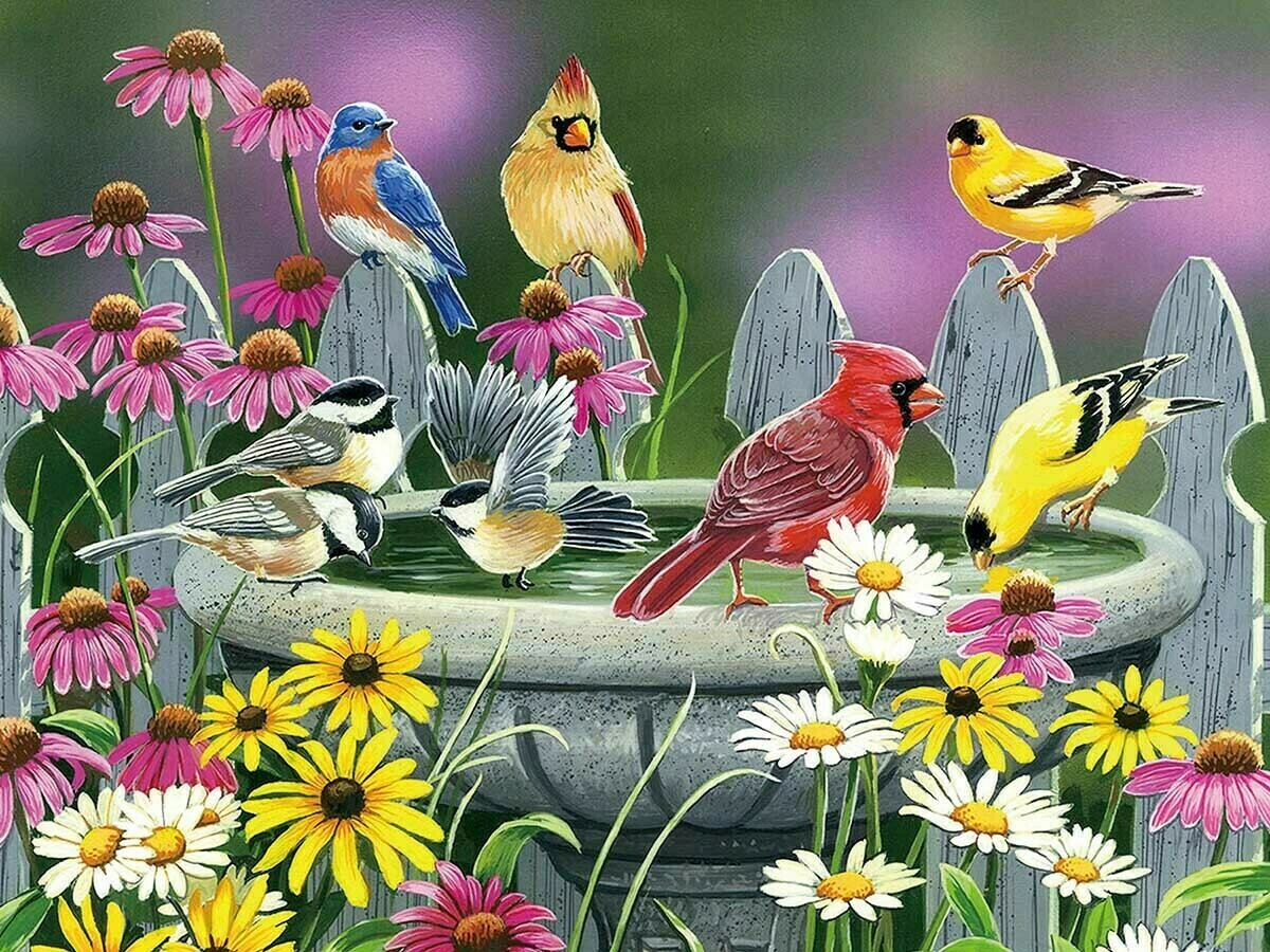 Learning To Fly 500 Pc