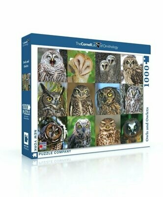 Owls And Owlets 1000 Pc