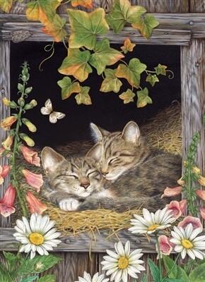 Sisters 500 Pc