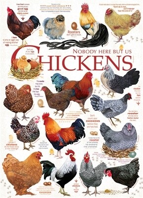 Chicken Quotes 1000 Pc