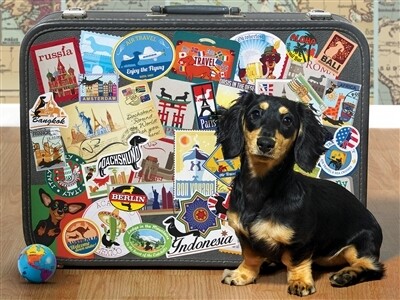 Dachshund Round The World 500 Pc