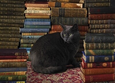 Library Cat 1000 Pc