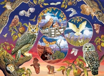 Owl Magic 1000 Pc