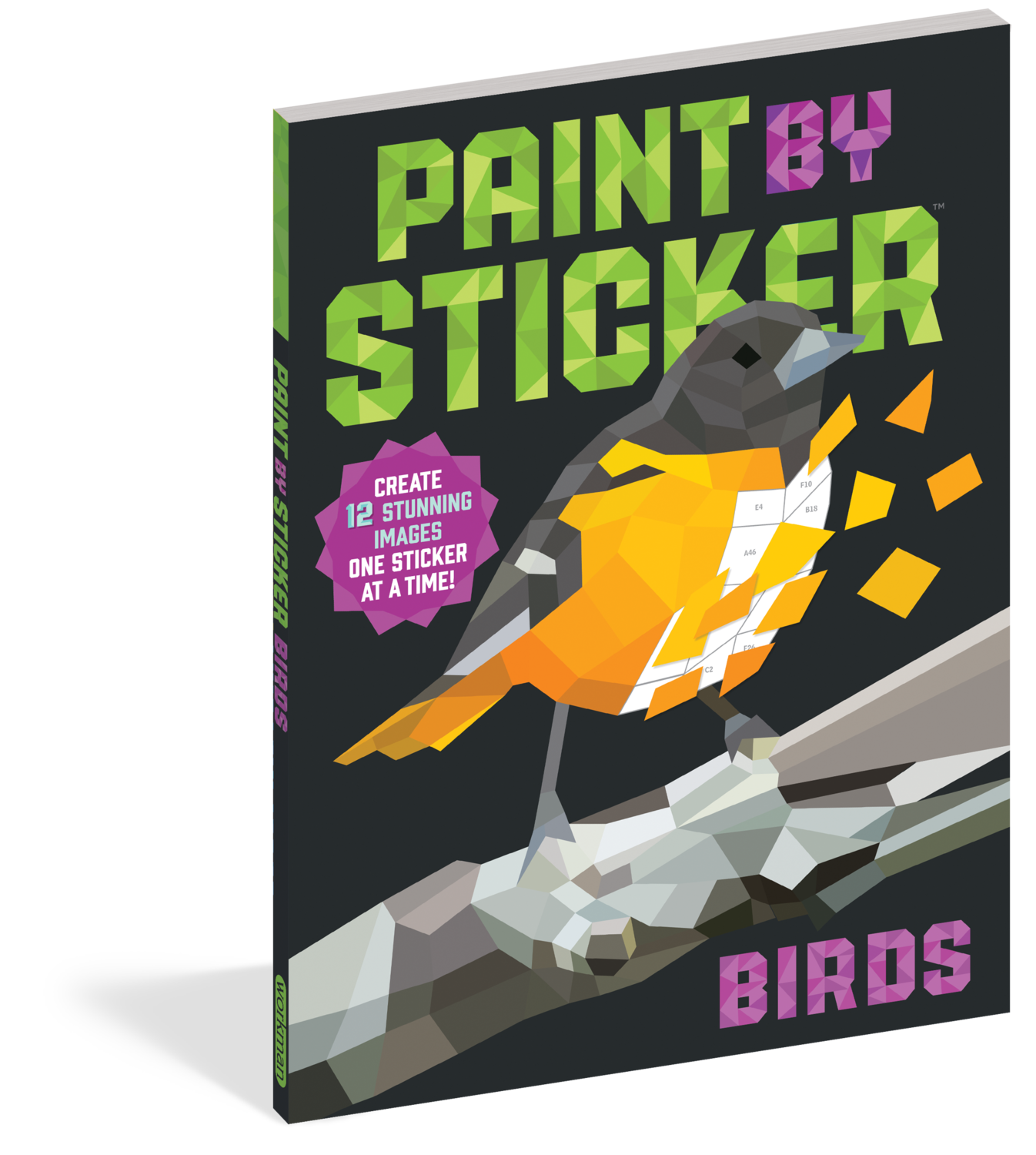 Paint By Sticker Birds