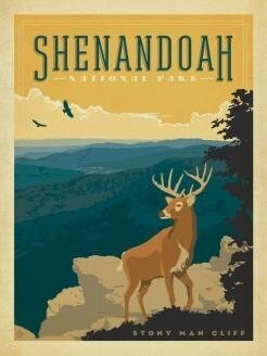 Shendandoah National Park 500 Pc