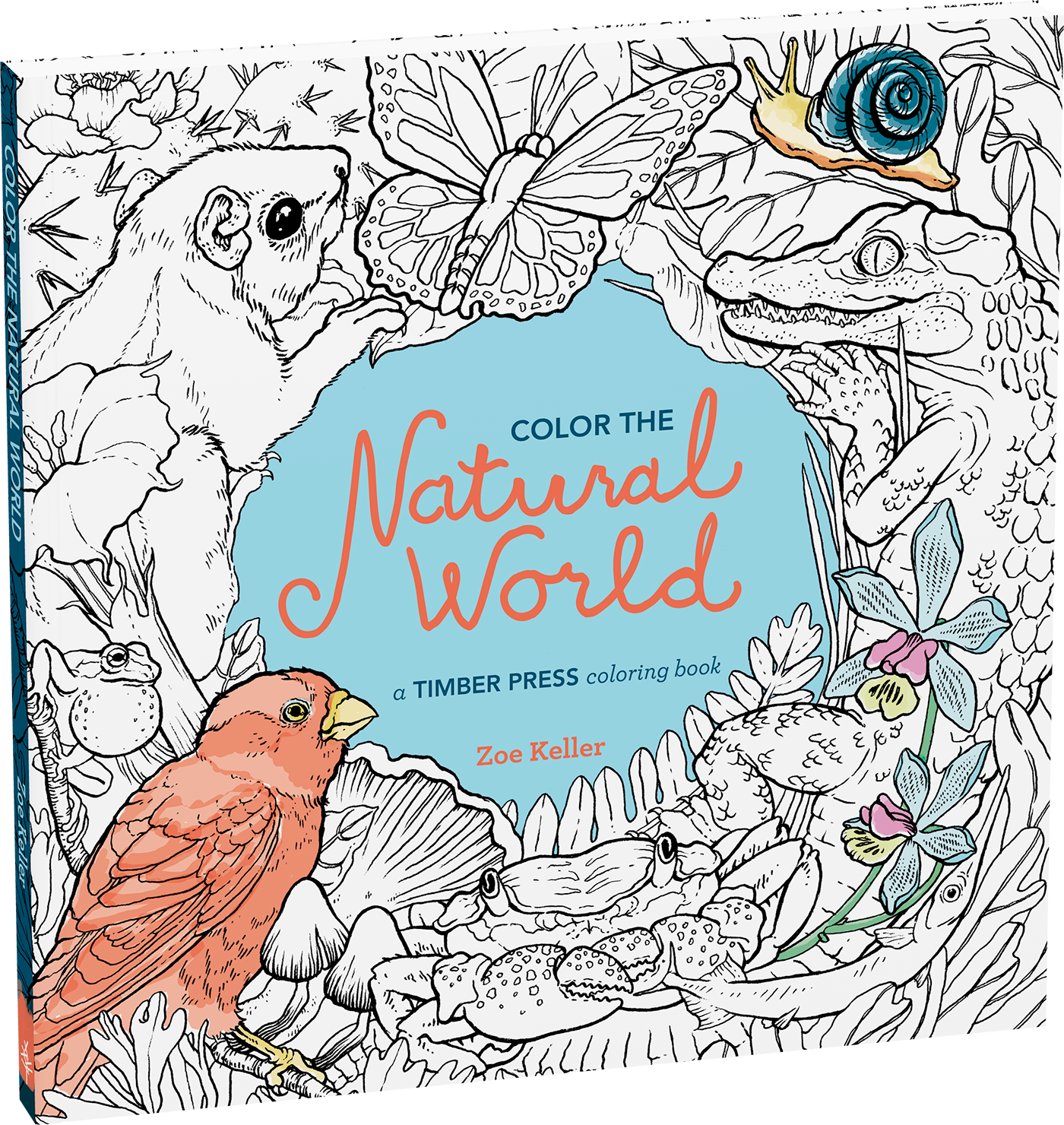 Color The Natural World Coloring Book