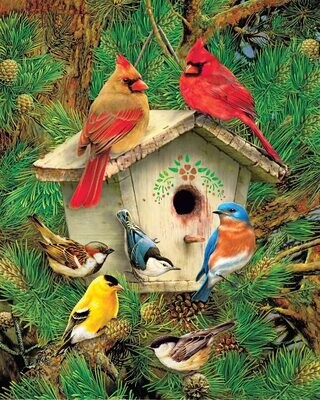 Feathered Retreat 1000 Pc