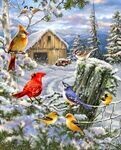 Frosty Morning Song 1000 Pc