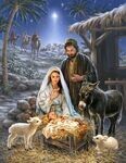 Savior Is Born 1000 Pc