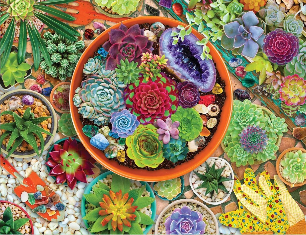 Succulent Garden 500 Pc