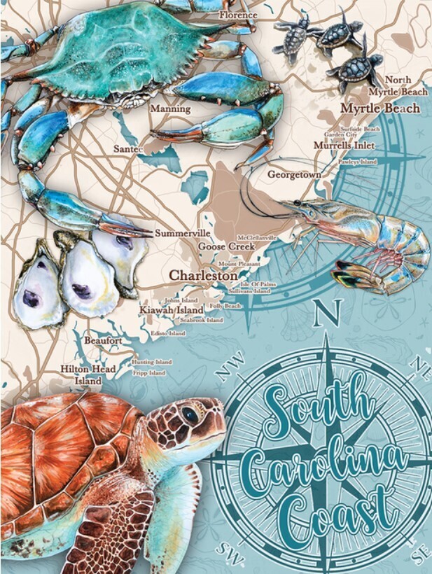 South Carolina Coast 550 Pc