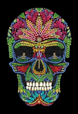 Skull Crystal Art Notebook Kit 8+