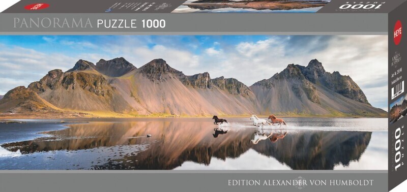 Iceland Horses 1000 Pc Pano