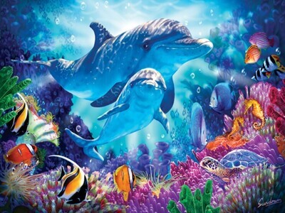 Dolphin Guardian 500 Pc