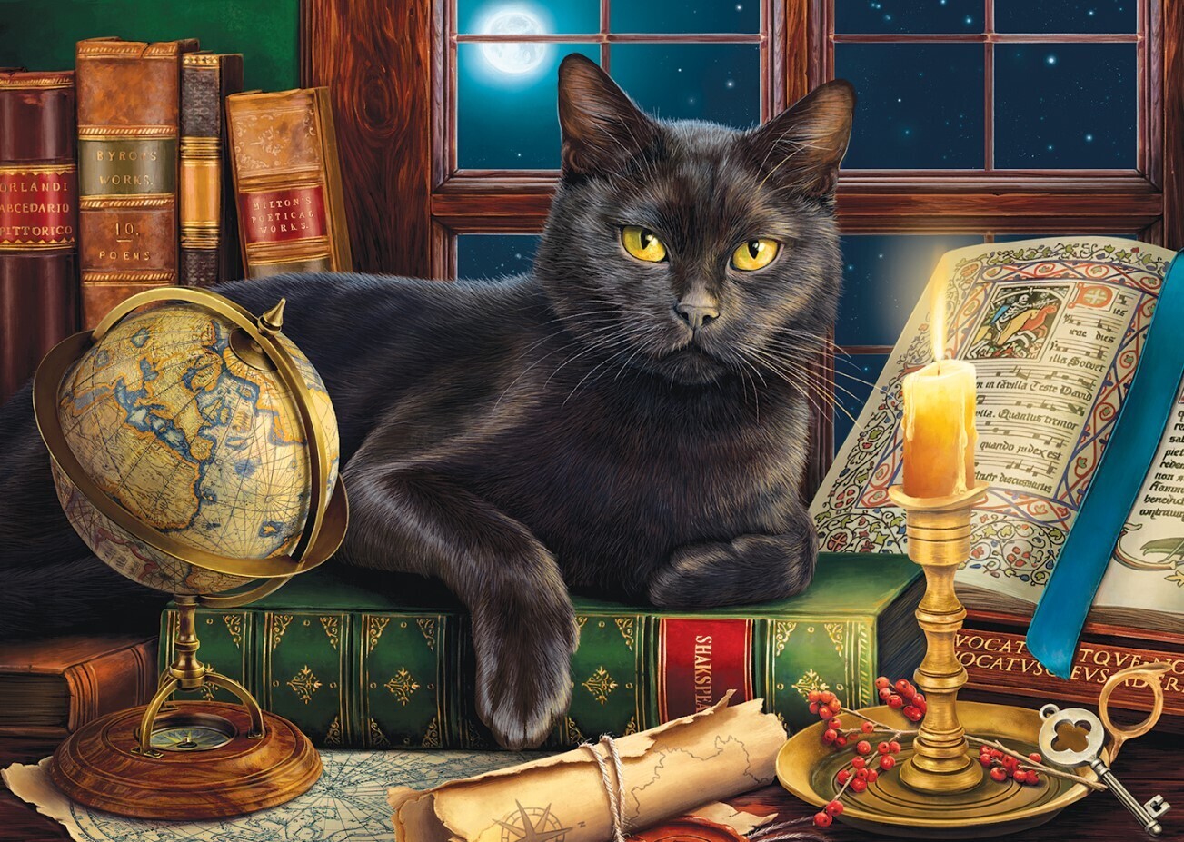 Black Cat By Candlelight 500 Pc Lg